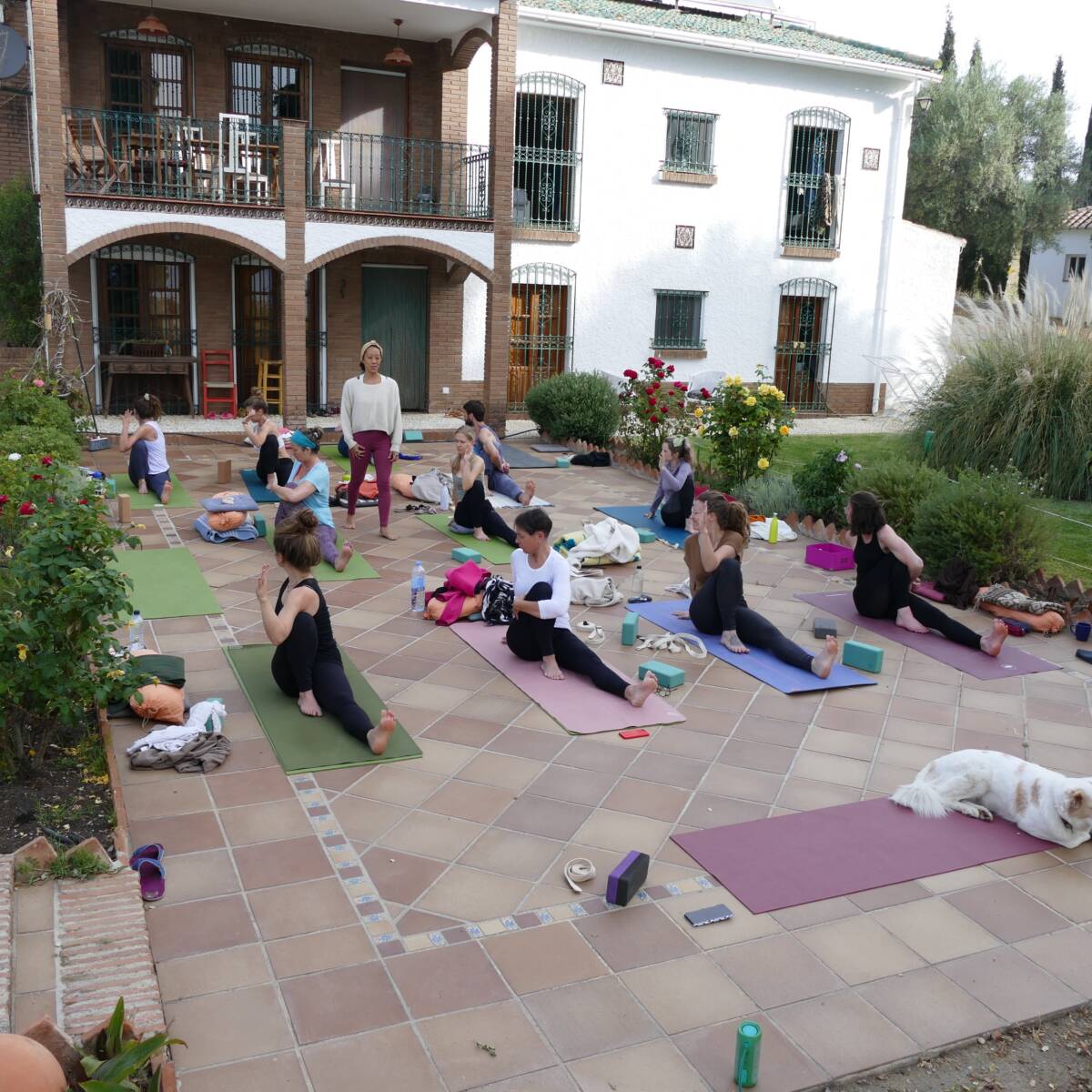 holistic retreats in bali