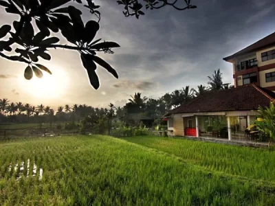 best yoga retreats in bali