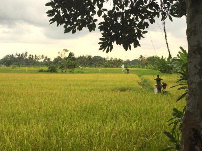 230703_17012311180050482471